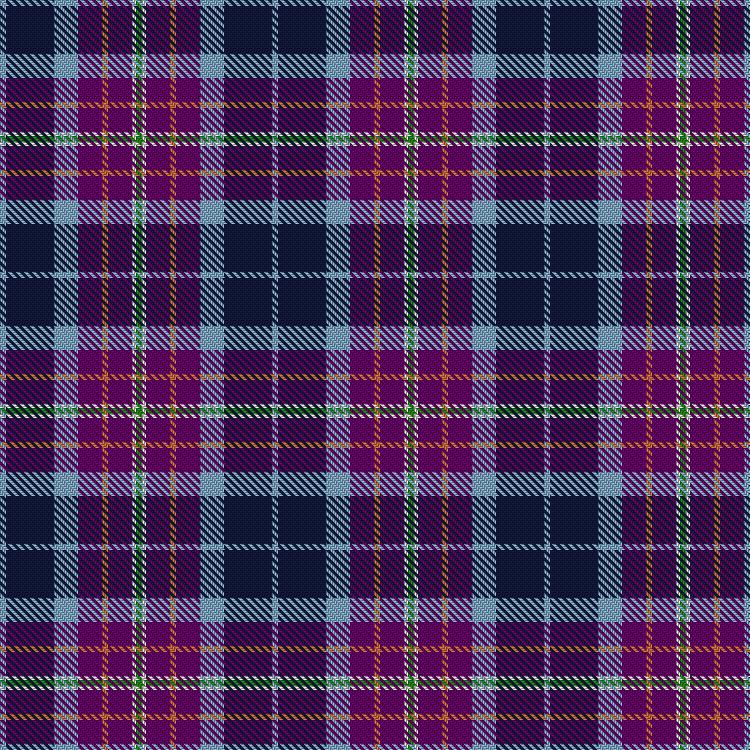 Tartan image: Gangopadhyay, S & Family (Personal). Click on this image to see a more detailed version.