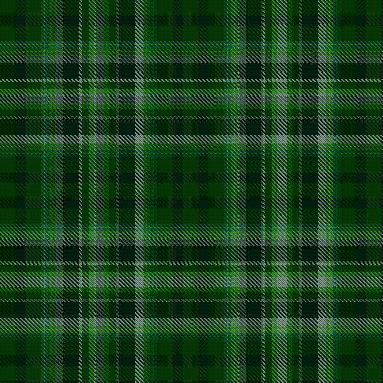 Tartan image: Green River Marsh. Click on this image to see a more detailed version.