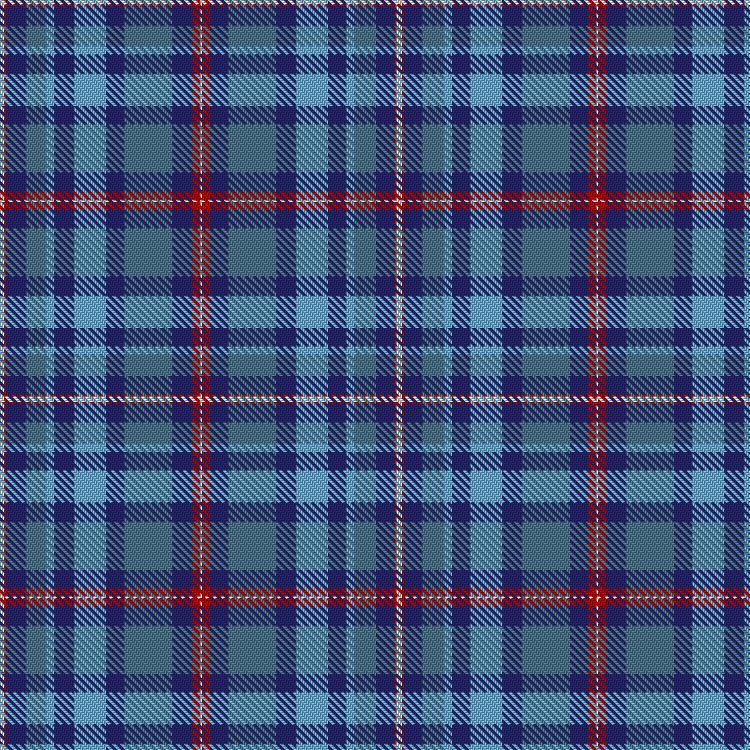 Tartan image: Blesma. Click on this image to see a more detailed version.