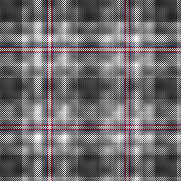 Tartan image: COP (Culottés Ou Pas). Click on this image to see a more detailed version.