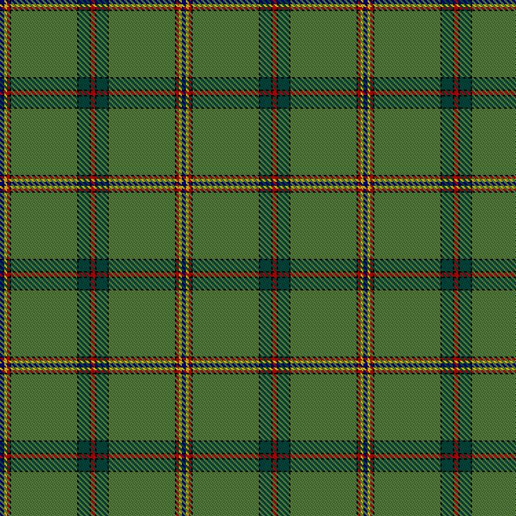 Tartan image: Strachan Hunting. Click on this image to see a more detailed version.