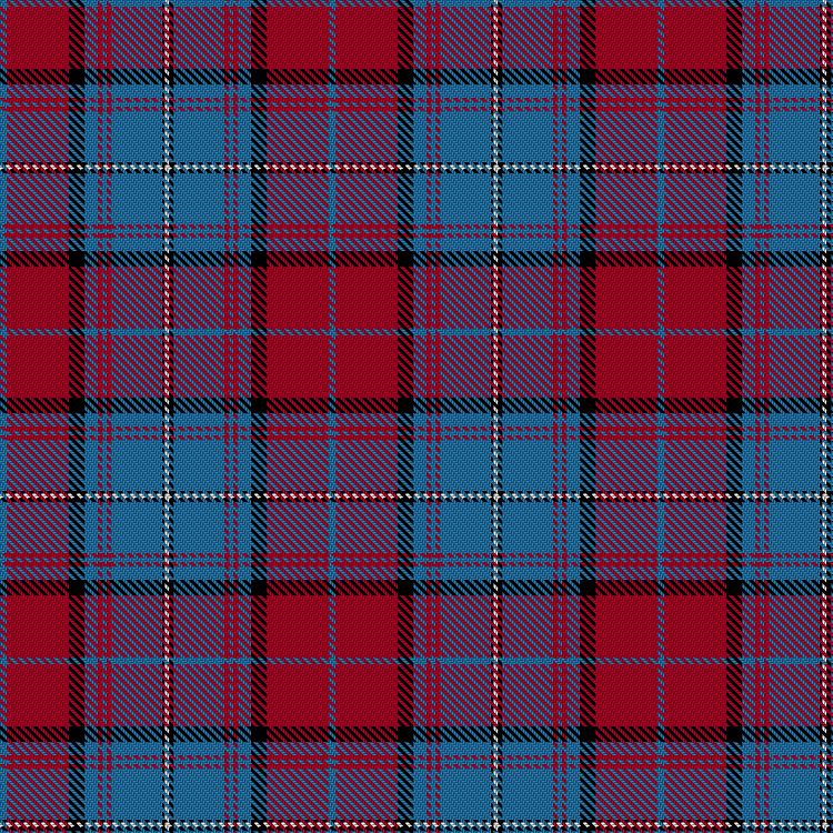 Tartan image: Domino's Scotland. Click on this image to see a more detailed version.