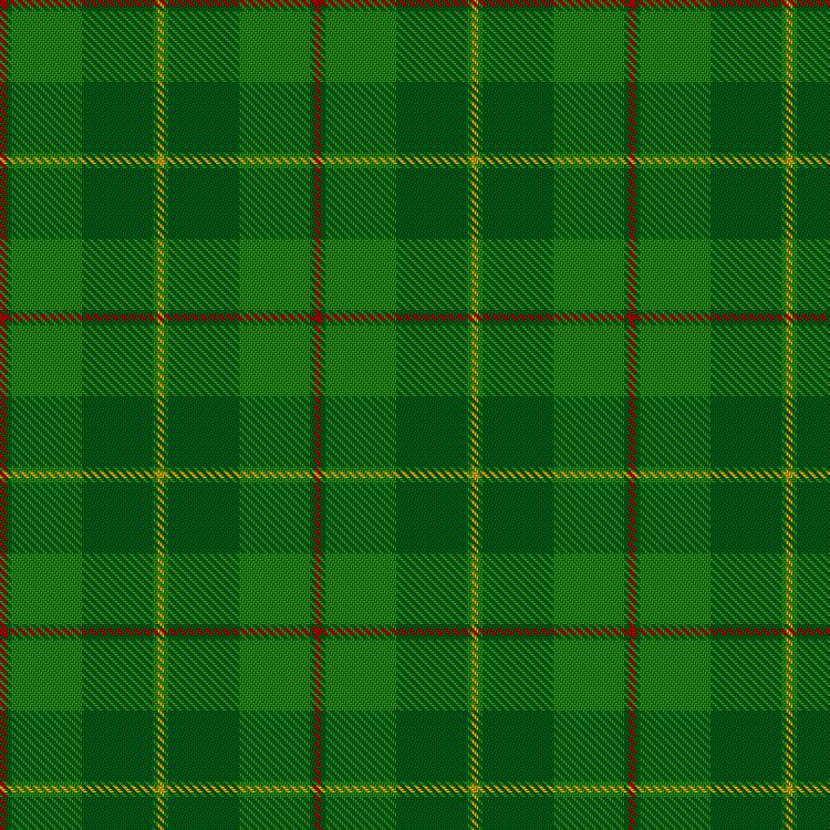 Tartan image: Galloway Green (yellow line). Click on this image to see a more detailed version.