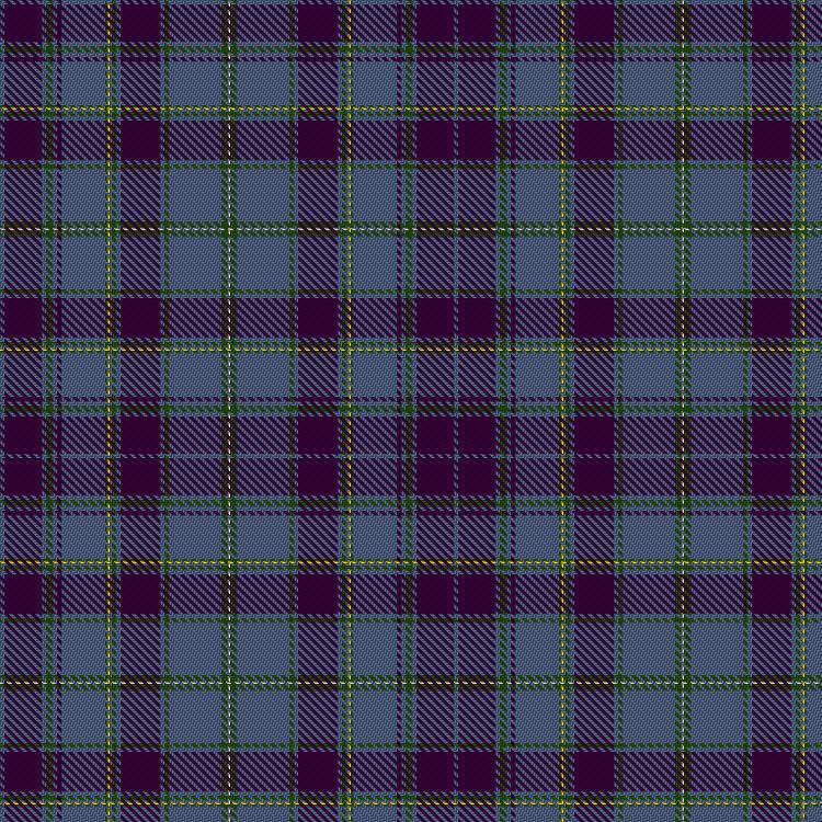 Tartan image: Plowman, Stephen (2021) (Personal). Click on this image to see a more detailed version.