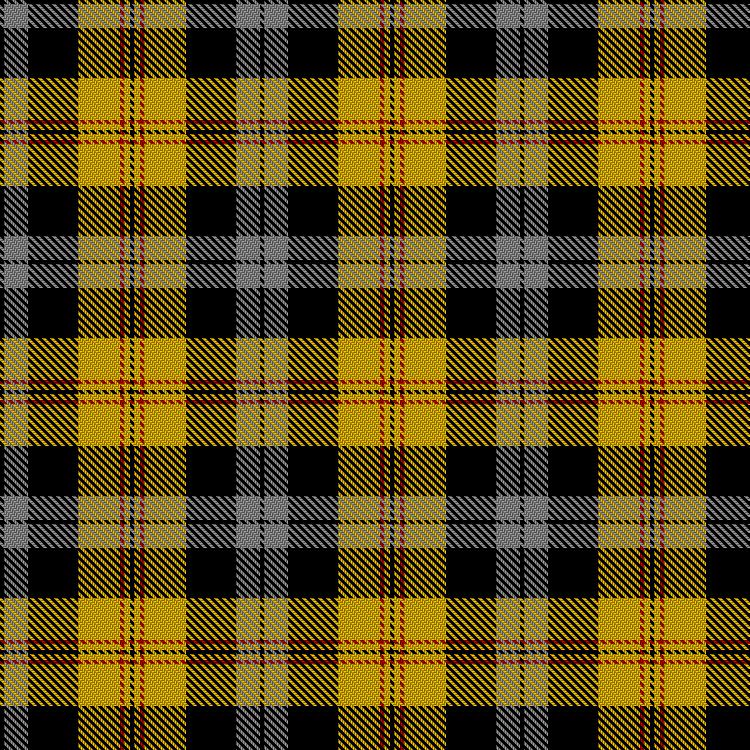 Tartan image: Nunn, R & Family (Personal). Click on this image to see a more detailed version.