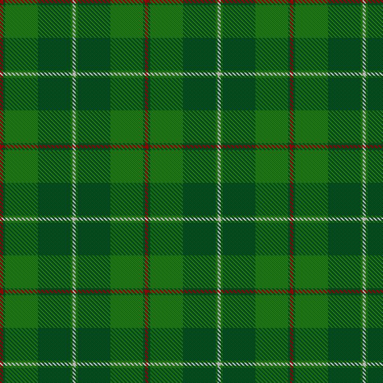 Tartan image: Galloway Hunting. Click on this image to see a more detailed version.