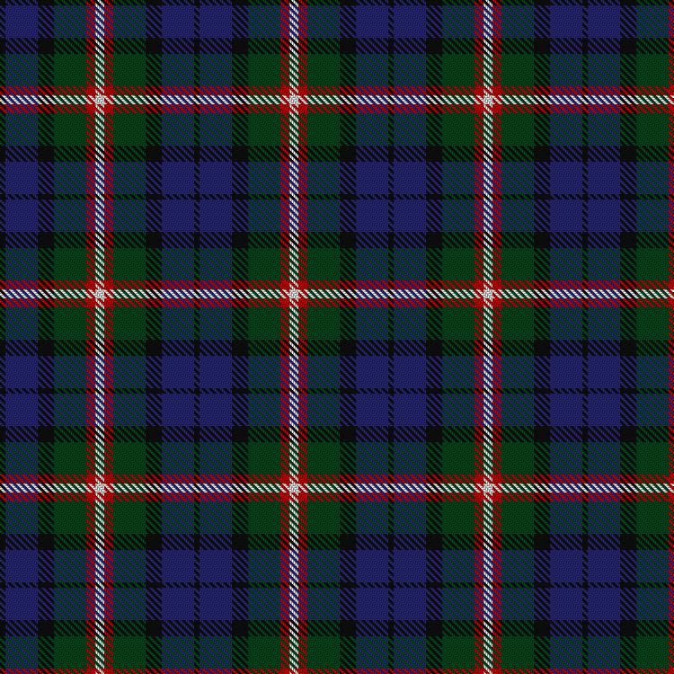 Tartan image: Neeson, William & Family (Personal). Click on this image to see a more detailed version.