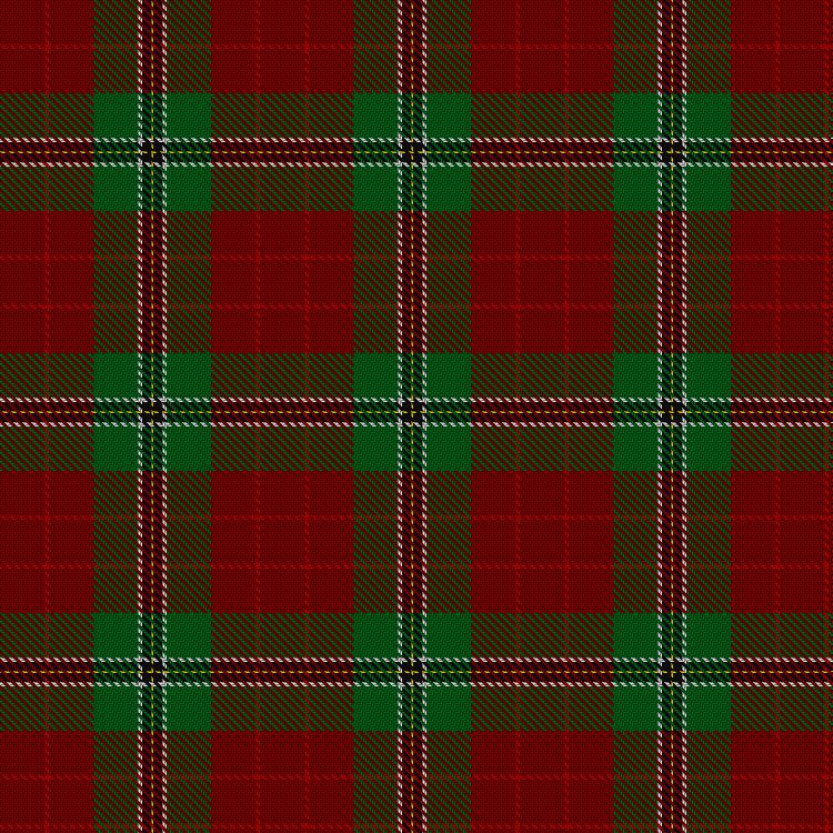 Tartan image: Dodds, R Hunting (Personal). Click on this image to see a more detailed version.