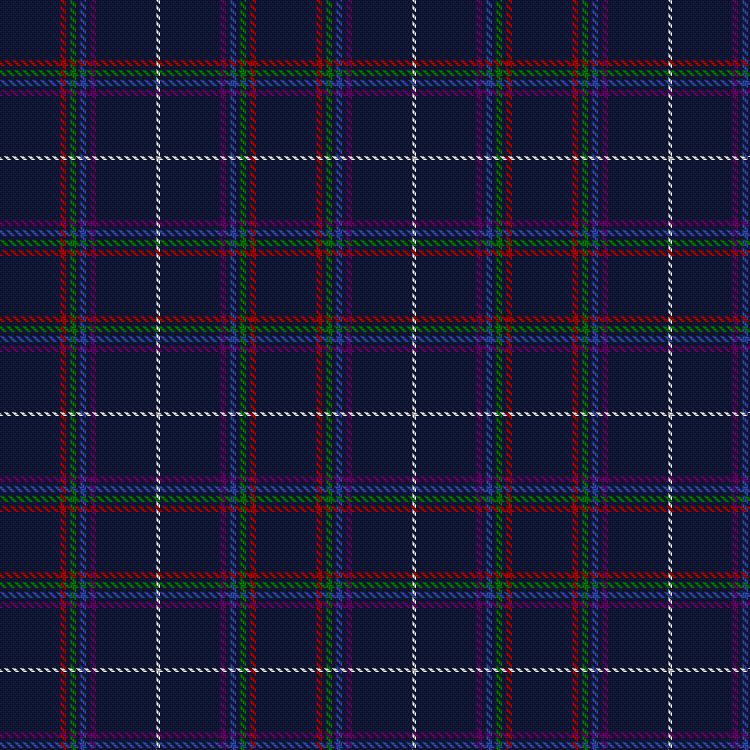 Tartan image: Slaven, W & Family (Personal). Click on this image to see a more detailed version.