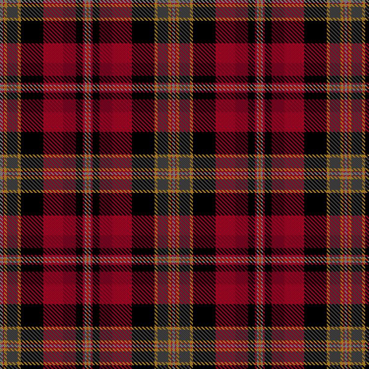 Tartan image: Green, J & Agostini, I and Family (Personal). Click on this image to see a more detailed version.