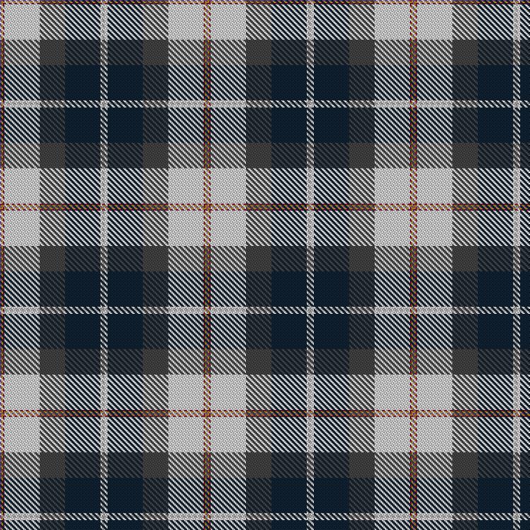Tartan image: Edmonton Scottish Society Dress. Click on this image to see a more detailed version.