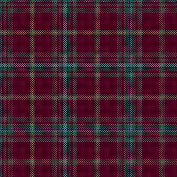 Tartan image: Webster, Maxim (Personal). Click on this image to see a more detailed version.