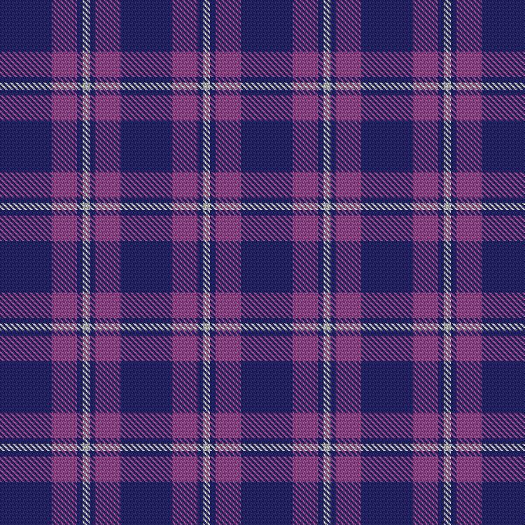 Tartan image: Scottish Summit. Click on this image to see a more detailed version.