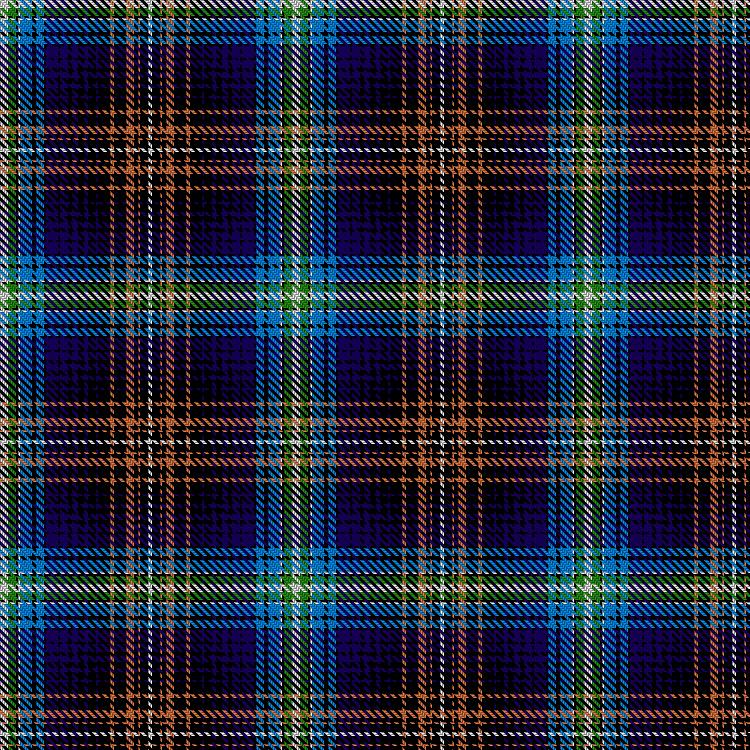 Tartan image: Waldron, Cameron and Ashlee & Family (Personal). Click on this image to see a more detailed version.