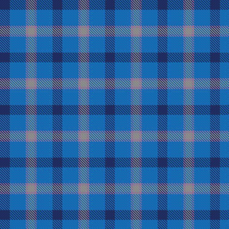 Tartan image: Chu, T and B & Family (Personal). Click on this image to see a more detailed version.
