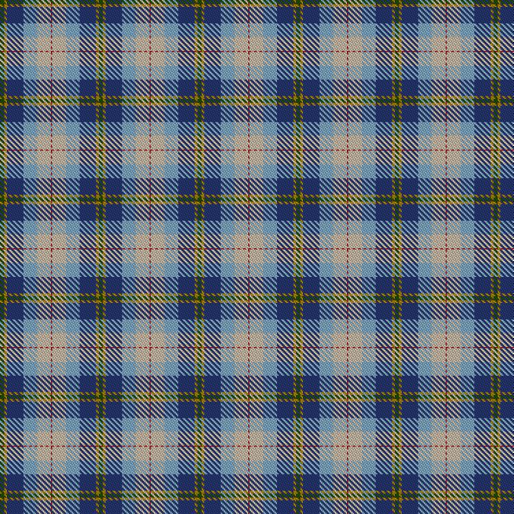 Tartan image: Judique Spirit Fall/Winter. Click on this image to see a more detailed version.