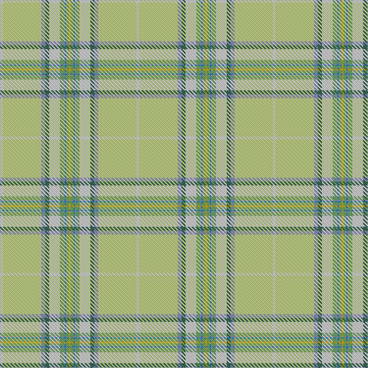 Tartan image: Patrick King's Little Lamb. Click on this image to see a more detailed version.