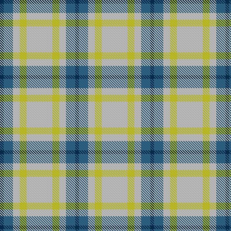 Tartan image: Sunny Sea. Click on this image to see a more detailed version.