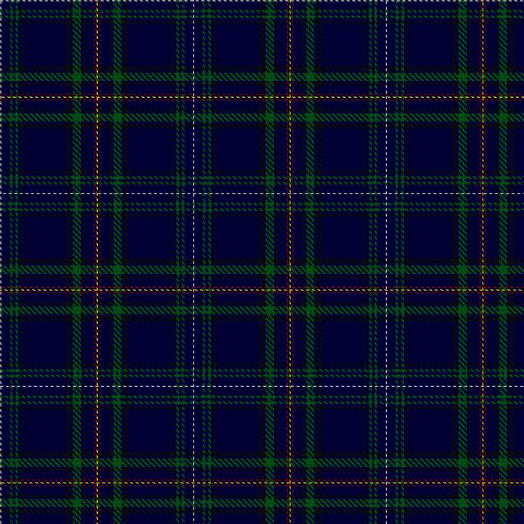 Tartan image: Molenaar, R M & Family (Personal). Click on this image to see a more detailed version.
