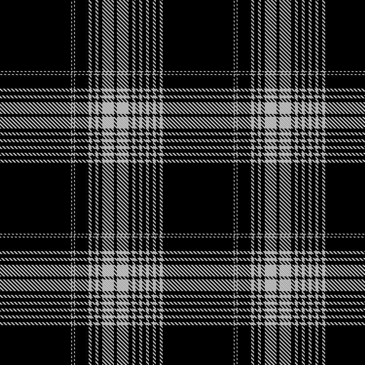 Tartan image: Monochromatic World, The. Click on this image to see a more detailed version.