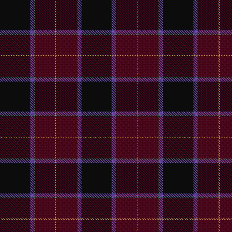 Tartan image: Broussard, Damian & Family (Personal). Click on this image to see a more detailed version.