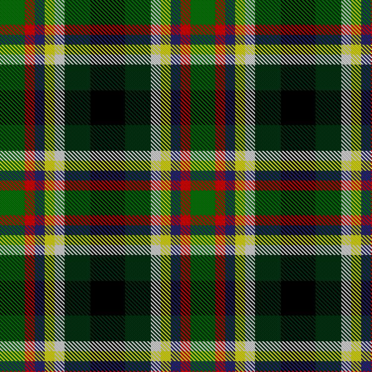 Tartan image: Williams, Tony & Family (Personal). Click on this image to see a more detailed version.