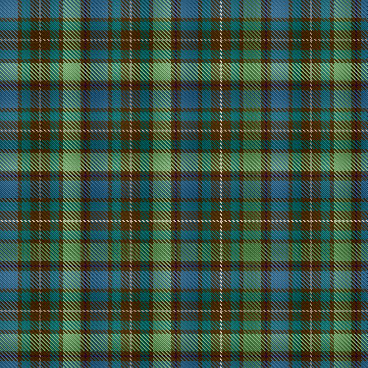 Tartan image: Scottish Arts Club. Click on this image to see a more detailed version.