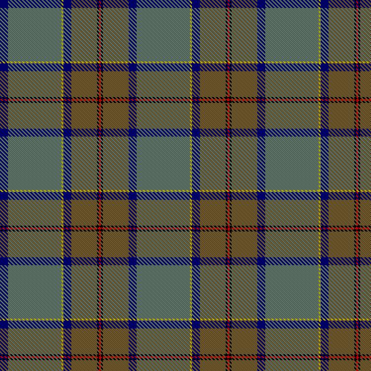 Tartan image: Pait, Eugene and Family (Personal). Click on this image to see a more detailed version.