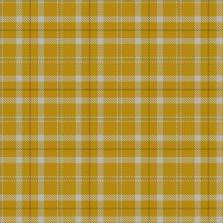 Tartan image: SUN-TV. Click on this image to see a more detailed version.