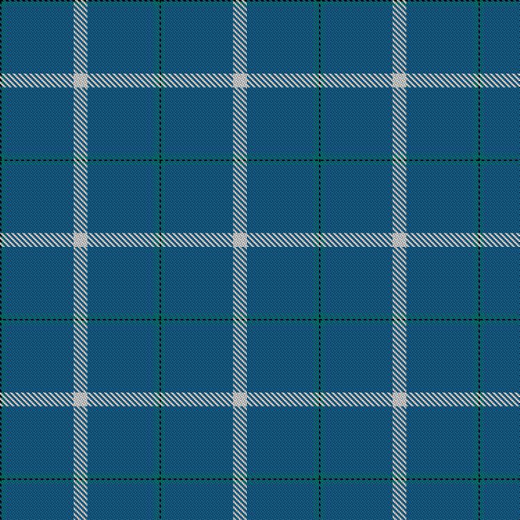 Tartan image: Northumbria Healthcare. Click on this image to see a more detailed version.