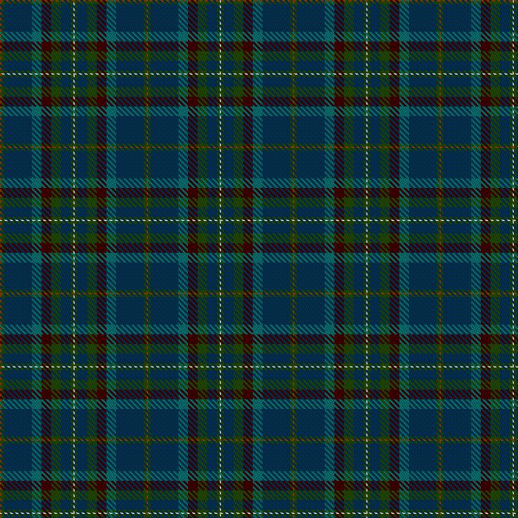 Tartan image: McArdle, Tom & Family (Personal). Click on this image to see a more detailed version.