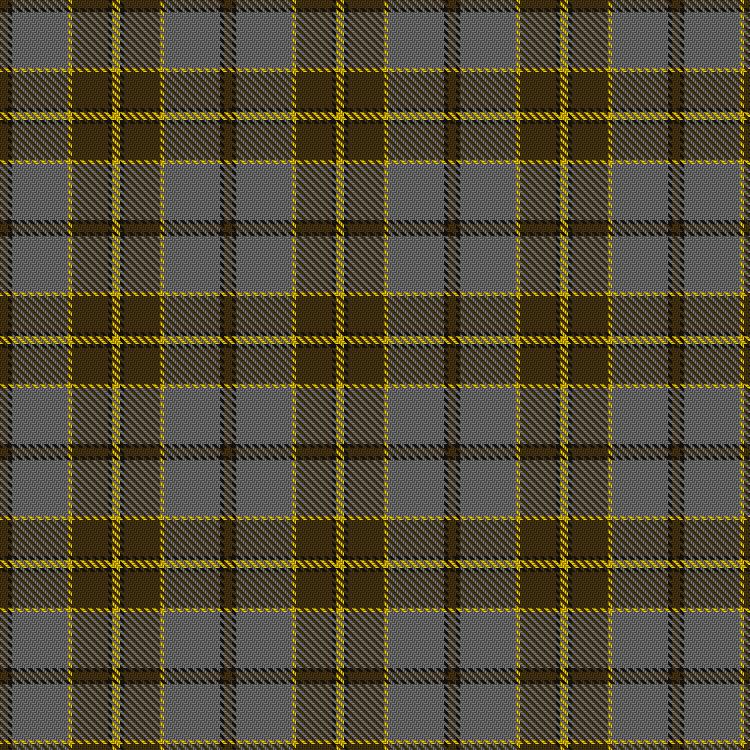Tartan image: Aslan, E & Family Dress (Personal). Click on this image to see a more detailed version.