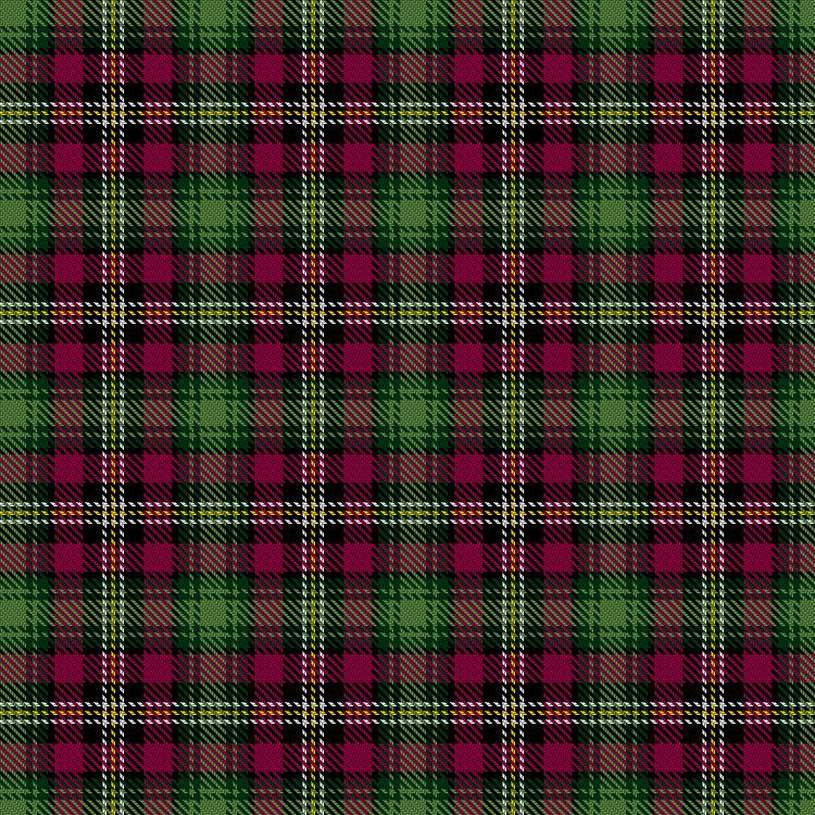 Tartan image: Ochil Flora. Click on this image to see a more detailed version.