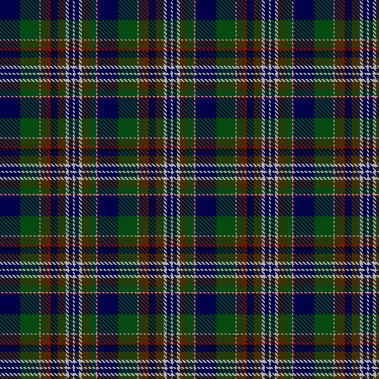 Tartan image: 280th Engineer Combat Battalion. Click on this image to see a more detailed version.