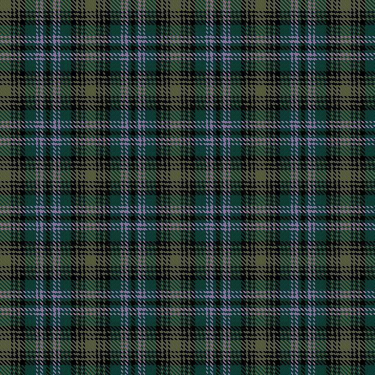 Tartan image: Su'Lily. Click on this image to see a more detailed version.