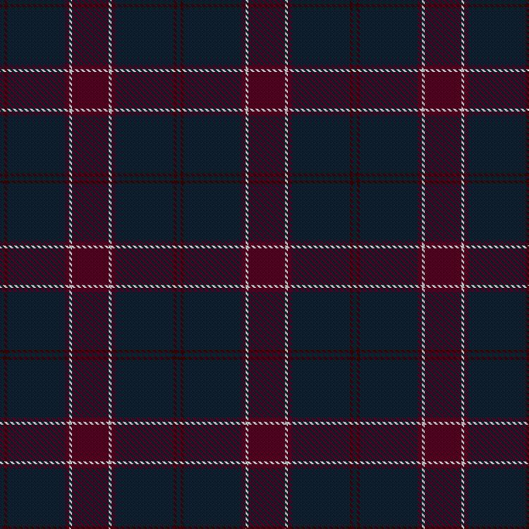 Tartan image: Gavin. Click on this image to see a more detailed version.