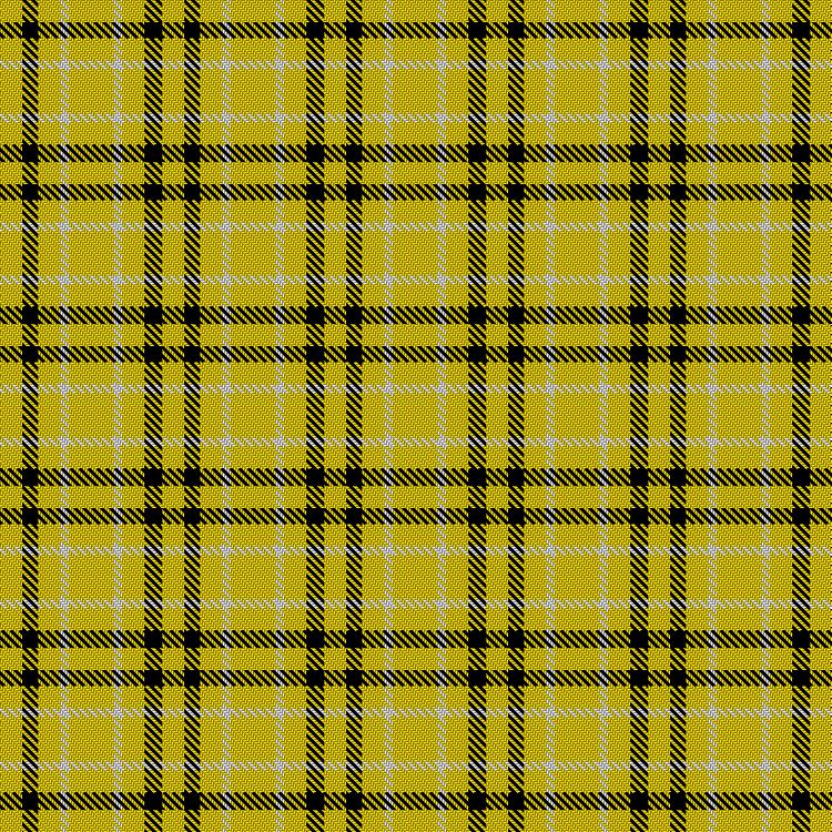 Tartan image: Wichita State University. Click on this image to see a more detailed version.