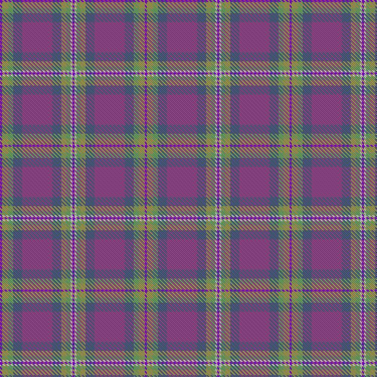 Tartan image: Pride of Dornoch. Click on this image to see a more detailed version.