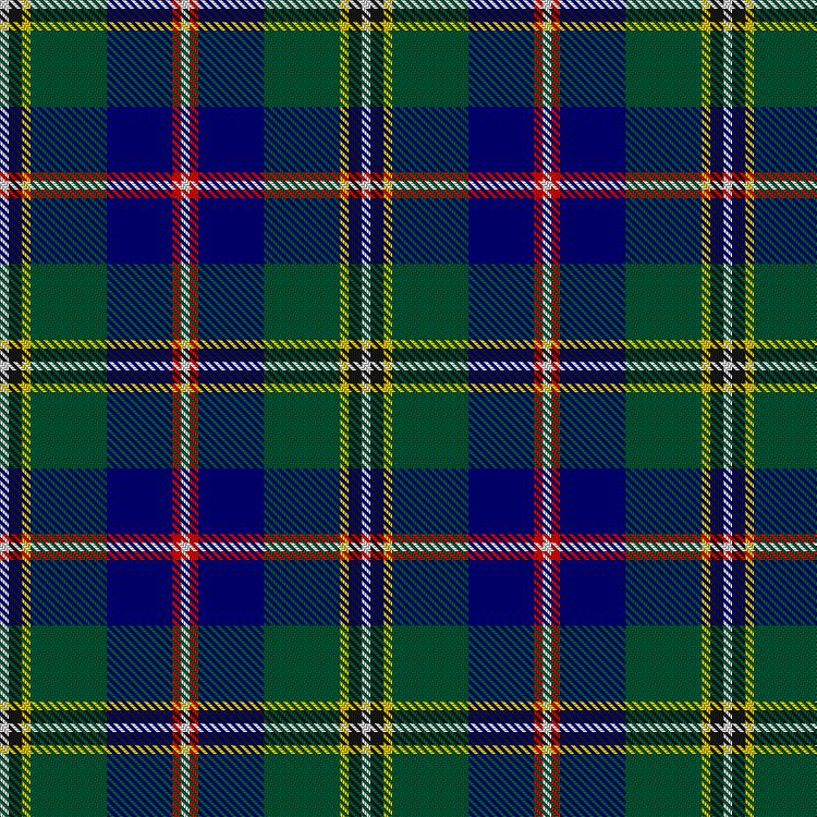 Tartan image: Haley, David & Family (Personal). Click on this image to see a more detailed version.