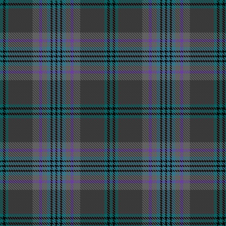 Tartan image: Mulholland, Brian and Marya & Family (Personal). Click on this image to see a more detailed version.