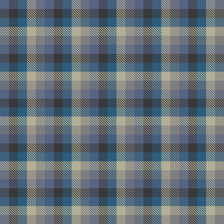 Tartan image: Larbert High School. Click on this image to see a more detailed version.