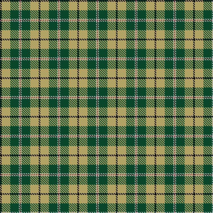 Tartan image: Felix EOD Mascot. Click on this image to see a more detailed version.