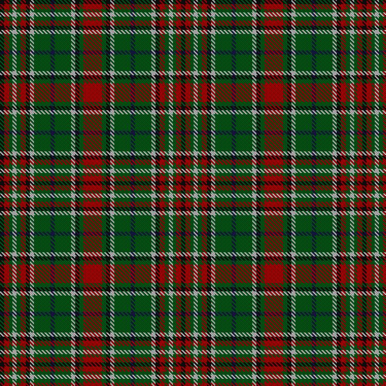 Tartan image: Gayre Bodyguard #2. Click on this image to see a more detailed version.