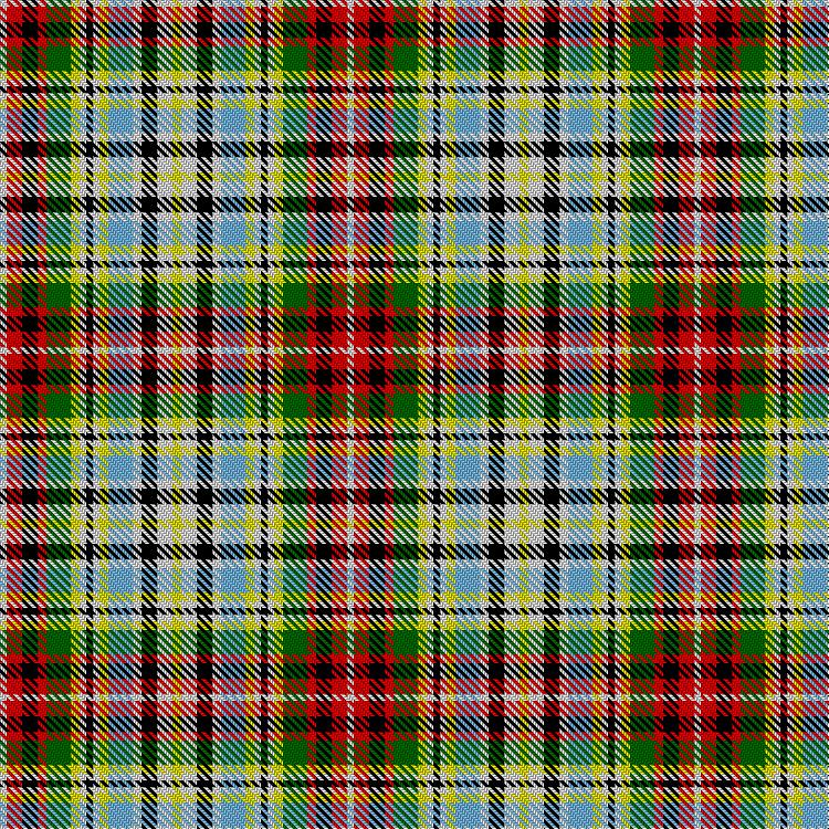 Tartan image: Insect Collection. Click on this image to see a more detailed version.