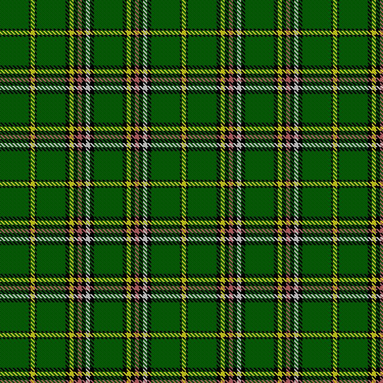 Tartan image: Insect Collection - Green. Click on this image to see a more detailed version.
