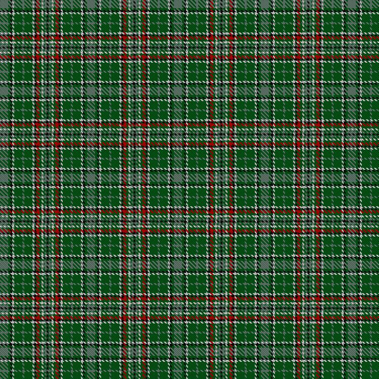 Tartan image: Gayre Dress. Click on this image to see a more detailed version.