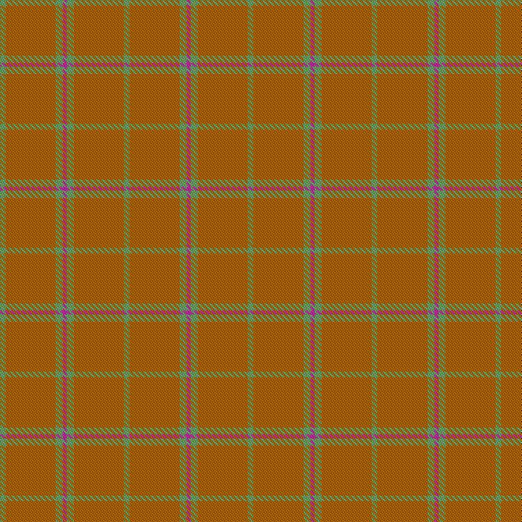 Tartan image: Sisterhood Fibres. Click on this image to see a more detailed version.