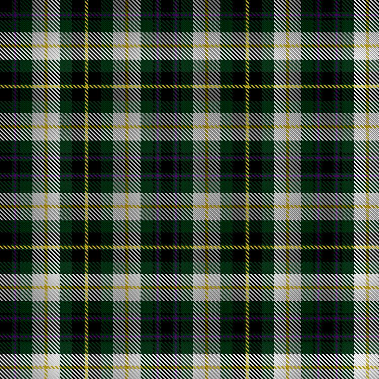 Tartan image: Lucky White Heather. Click on this image to see a more detailed version.