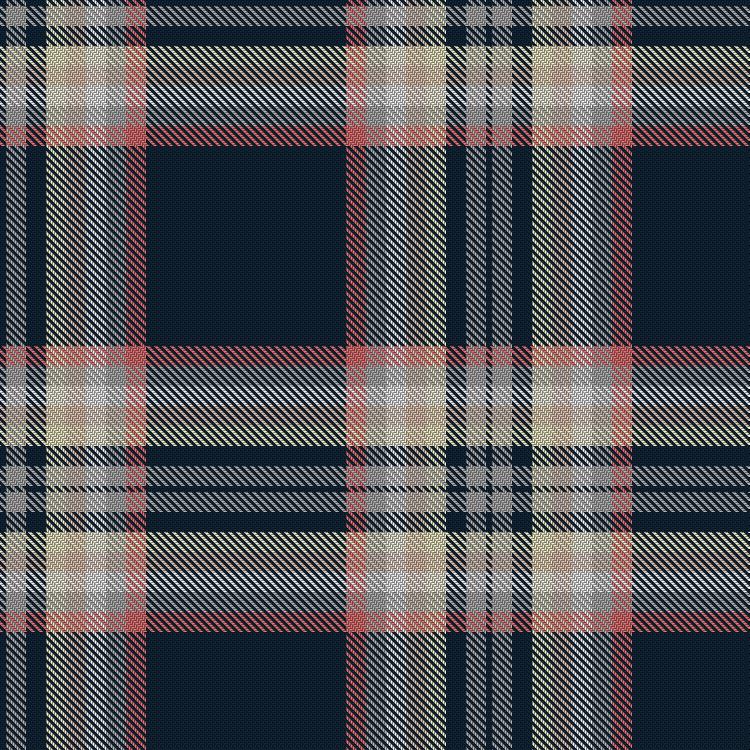 Tartan image: Flora by Navygrey. Click on this image to see a more detailed version.