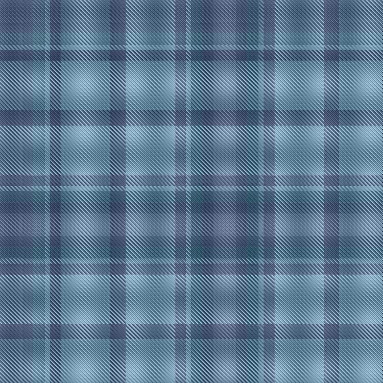 Tartan image: 2045 Water. Click on this image to see a more detailed version.